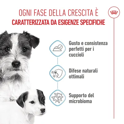Royal Canin Starter Mousse Mother & Babydog