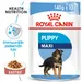 Royal Canin Maxi Puppy kastikkeessa