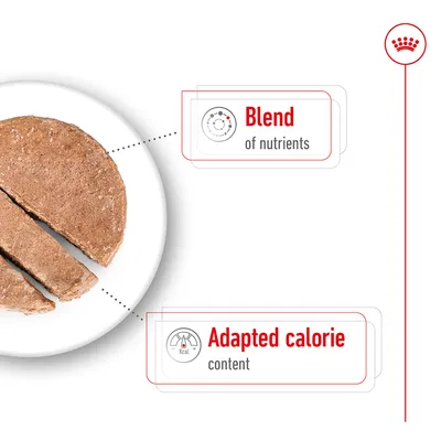 Image showing food with highlighted features: blend of nutrients and adapted calorie content.