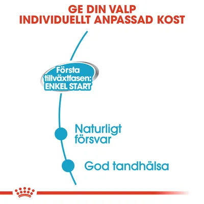 Ge din valp individuellt anpassad kost. Första tillväxtfasen: enkel start. Naturligt försvar. God tandhälsa.