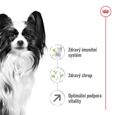 Zdravý imunitní systém, zdravý chrup, optimální podpora vitality – tři hlavní benefity zobrazené vedle černobílého psa. Vpravo nahoře červená korunka.