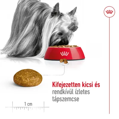 Yorkshire terrier tápot eszik piros tálból, mellette 1 cm-es táp szemcse. Szöveg: Kifejezetten kicsi és rendkívül ízletes tápszemcse. Yorkshire terrier tápot eszik piros tálból, mellette 1 cm-es táp szemcse. Szöveg: Kifejezetten kicsi és rendkívül ízletes tápszemcse.