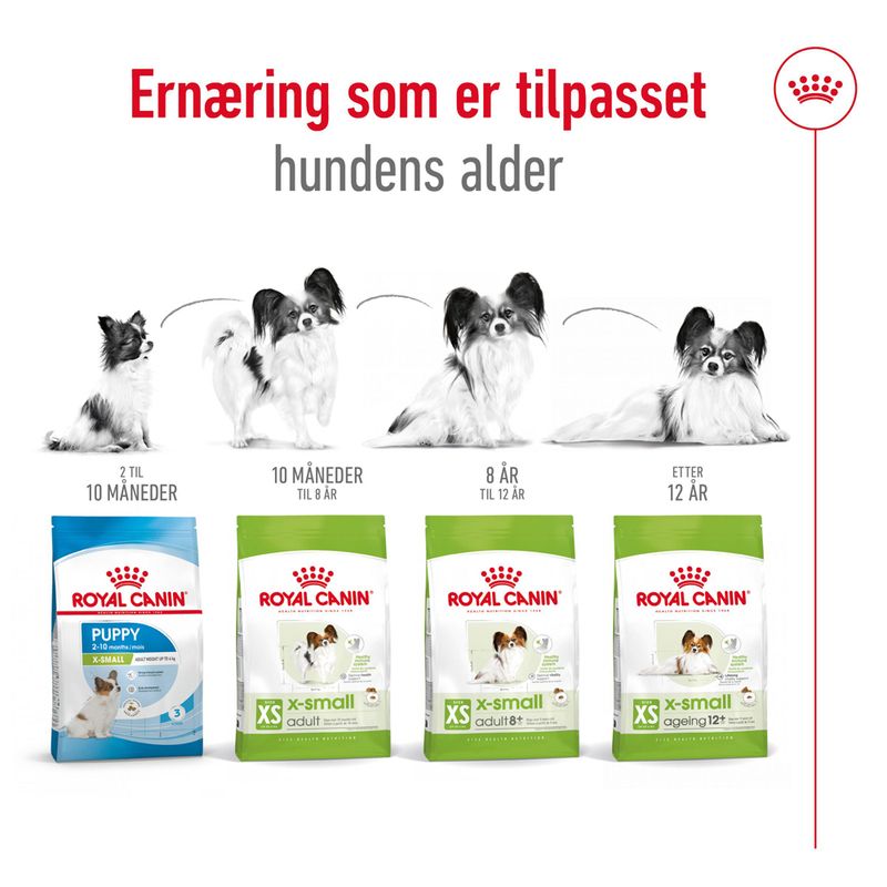 Royal Canin X-Small Adult