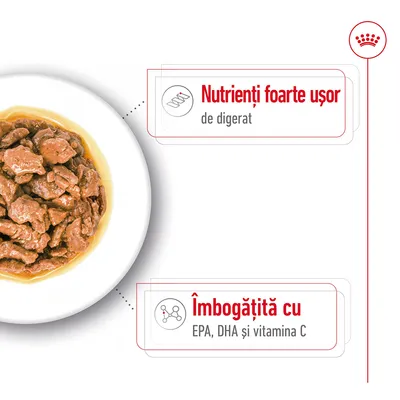 Nutrienți foarte ușor de digerat. Îmbogățită cu EPA, DHA și vitamina C.