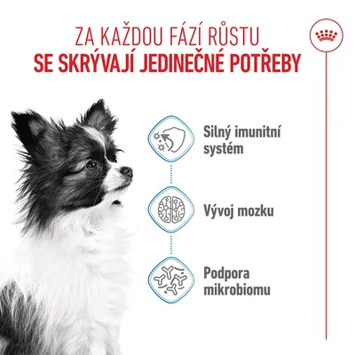 Grafika se psem a symboly: Silný imunitní systém, vývoj mozku, podpora mikrobiomu. Text v češtině o speciálních potřebách v každé fázi růstu. Grafika se psem a symboly: Silný imunitní systém, vývoj mozku, podpora mikrobiomu. Text v češtině o speciálních potřebách v každé fázi růstu.