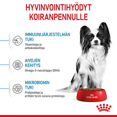 Hyvinvointihyödyt koiranpennulle: immuunijärjestelmän tuki (vitamiineja ja antioksidantteja), aivojen kehitys (omega-3-rasvahappo DHA), mikrobiomin tuki (prebiootteja, hyvin sulavia proteiineja).