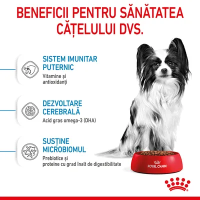 Beneficii pentru sănătatea cățelului: sistem imunitar puternic (vitamine și antioxidanți), dezvoltare cerebrală (acid gras omega-3 DHA), susține microbiomul (prebiotice, proteine digerabile).