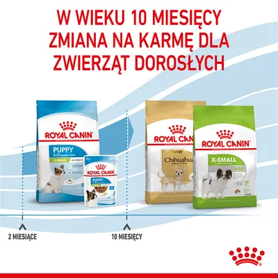 Royal Canin: w wieku 10 miesięcy zmiana z karmy Puppy X-Small na karmę dla dorosłych, np. Chihuahua Adult lub X-Small Adult. Widoczne opakowania produktów i przedziały wiekowe. Royal Canin: w wieku 10 miesięcy zmiana z karmy Puppy X-Small na karmę dla dorosłych, np. Chihuahua Adult lub X-Small Adult. Widoczne opakowania produktów i przedziały wiekowe.