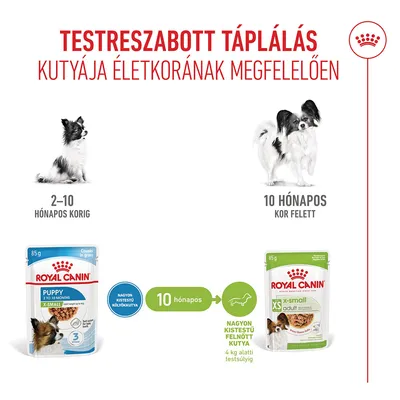 Royal Canin X-Small Puppy szószban