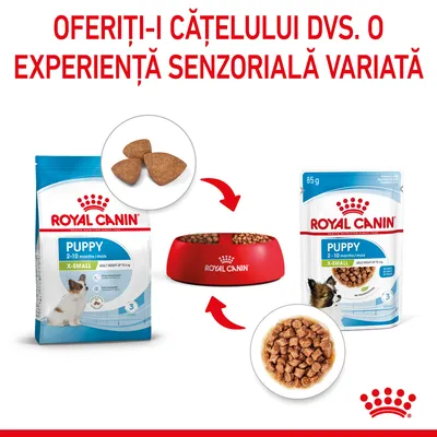 Royal Canin Puppy X-Small 2–10 months: pachet hrană uscată, plic hrană umedă 85 g și bol roșu cu granule. Text vizibil: Oferiți-i cățelului dvs. o experiență senzorială variată.