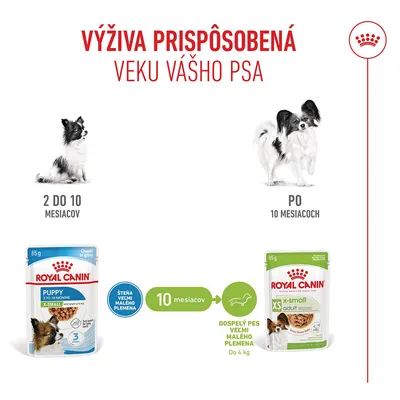 Royal Canin X-Small Puppy v omáčke
