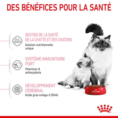 Des bénéfices pour la santé : soutien de la santé de la chatte et des chatons, système immunitaire fort, développement cérébral. Royal Canin visible sur une gamelle.