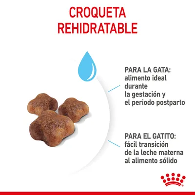 Croqueta rehidratable. Para la gata: alimento ideal durante la gestación y el periodo postparto. Para el gatito: fácil transición de la leche materna al alimento sólido.