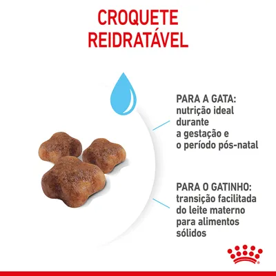 Croquete reidratável. Para a gata: nutrição ideal durante a gestação e o período pós-natal. Para o gatinho: transição facilitada do leite materno para alimentos sólidos.