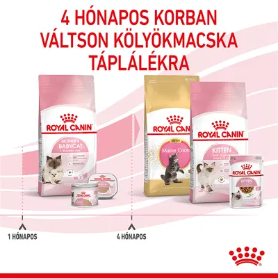 Royal Canin macskaeledelek: Mother & Babycat 1–4 hónapos korig, Maine Coon Kitten és Kitten 4 hónapos kortól. Felirat: 4 hónapos korban váltson kölyökmacska táplálékra.