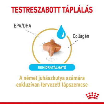 Testreszabott táplálás, EPA/DHA, Collagén, rehidratálható. A német juhászkutya számára exkluzívan tervezett tápszemcse.