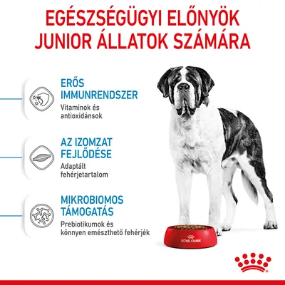Egészségügyi előnyök junior állatok számára: erős immunrendszer (vitaminok és antioxidánsok), izomzat fejlődése (adaptált fehérjetartalom), mikrobiomos támogatás (prebiotikumok).