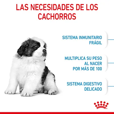 Las necesidades de los cachorros: sistema inmunitario frágil, multiplica su peso al nacer por más de 100, sistema digestivo delicado.