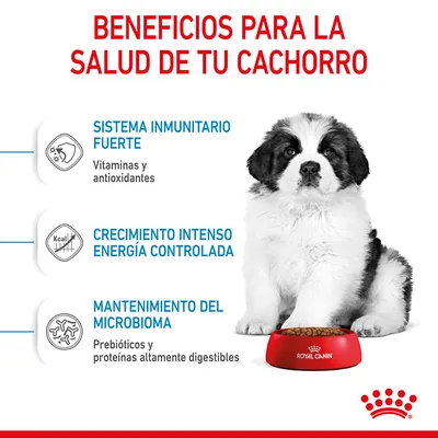 Beneficios para la salud de tu cachorro: sistema inmunitario fuerte, crecimiento intenso energía controlada, mantenimiento del microbioma. Royal Canin. Texto en español.