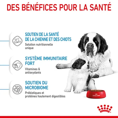Des bénéfices pour la santé : soutien de la santé de la chienne et des chiots, système immunitaire fort, soutien du microbiome. Royal Canin. Texte en français.
