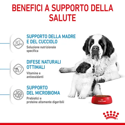 Benefici a supporto della salute: supporto della madre e del cucciolo, difese naturali ottimali, supporto del microbioma. Royal Canin visibile su ciotola.