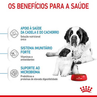 Os benefícios para a saúde: apoio à saúde da cadela e do cachorro, sistema imunitário forte, suporte ao microbioma. Royal Canin visível numa taça vermelha.