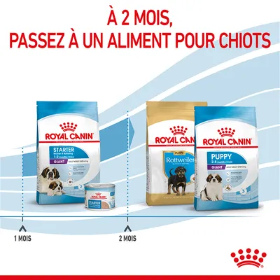 À 2 mois, passez à un aliment pour chiots. Royal Canin Starter Mother & Babydog Giant 1–2 mois, puis Royal Canin Puppy Rottweiler ou Puppy Giant 2–8 mois. Indication de transition à 2 mois.