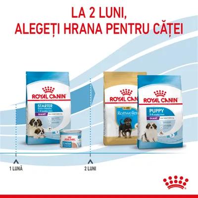La 2 luni, alegeți hrana pentru căței. Pachete Royal Canin Starter 1–2 luni și Puppy 2–8 luni Giant, plus Royal Canin Puppy Rottweiler. Indicații: 1 lună – Starter, 2 luni – Puppy.