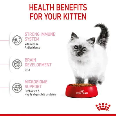 Health benefits for kittens: strong immune system with vitamins and antioxidants, brain development with DHA, microbiome support with prebiotics and highly digestible proteins.