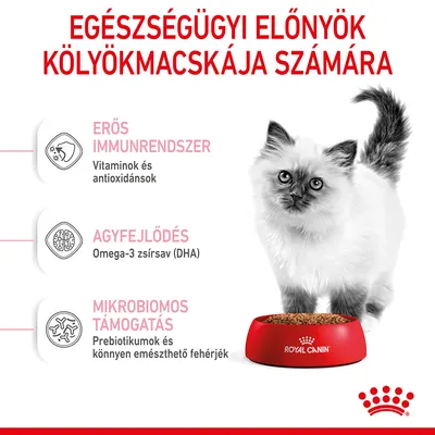 Egészségügyi előnyök kölyökmacskája számára: erős immunrendszer (vitaminok, antioxidánsok), agyfejlődés (Omega-3 zsírsav/DHA), mikrobiomos támogatás (prebiotikumok, fehérjék).