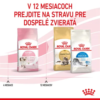 V 12 mesiacoch prejdite na stravu pre dospelé zvieratá. Royal Canin Kitten do 12 mesiacov, potom Royal Canin Maine Coon alebo Home Life Indoor. Časová os: 4 mesiace až 12 mesiacov.