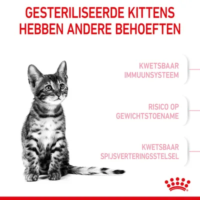 Gesteriliseerde kittens hebben andere behoeften: kwetsbaar immuunsysteem, risico op gewichtstoename, kwetsbaar spijsverteringsstelsel. Royal Canin merk zichtbaar.