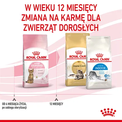 Royal Canin Kitten Sterilised 6–12 months, Royal Canin Adult Maine Coon, Royal Canin Home Life Indoor. W wieku 12 miesięcy zmiana na karmę dla zwierząt dorosłych.