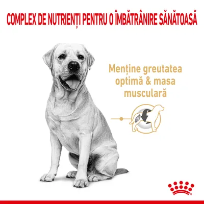 Complex de nutrienți pentru o îmbătrânire sănătoasă. Menține greutatea optimă & masa musculară. Imagine cu un câine și simboluri grafice. Royal Canin.