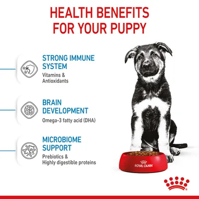 Health benefits for your puppy: strong immune system with vitamins and antioxidants, brain development with omega-3 fatty acid (DHA), microbiome support with prebiotics and digestible proteins.
