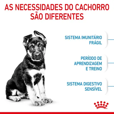 Texto: As necessidades do cachorro são diferentes. Sistema imunitário frágil, período de aprendizagem e treino, sistema digestivo sensível. Marca Royal Canin visível.