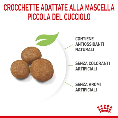 Crocchette adattate alla mascella piccola del cucciolo, contiene antiossidanti naturali, senza coloranti artificiali, senza aromi artificiali.