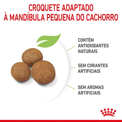 Croquete adaptado à mandíbula pequena do cachorro. Contém antioxidantes naturais, sem corantes artificiais, sem aromas artificiais. Três croquetes visíveis.