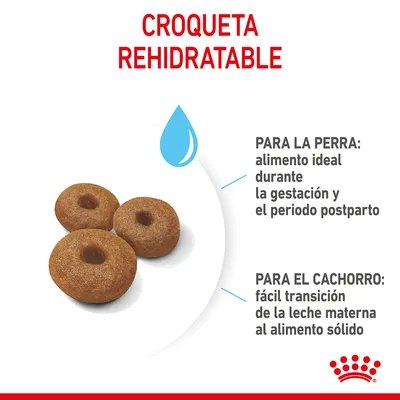 Croqueta rehidratable. Para la perra: alimento ideal durante la gestación y el periodo postparto. Para el cachorro: fácil transición de la leche materna al alimento sólido.