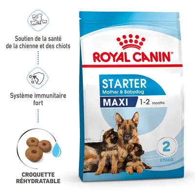 Royal Canin Starter Mother & Babydog Maxi 1–2 months, croquette réhydratable, soutien de la santé de la chienne et des chiots, système immunitaire fort, photo d’une chienne et deux chiots
