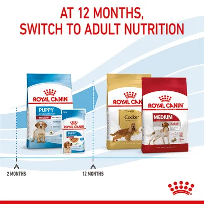 Feeding guide showing Royal Canin puppy food for 2-12 months and switching to adult nutrition at 12 months with images of both puppy and adult food packs.