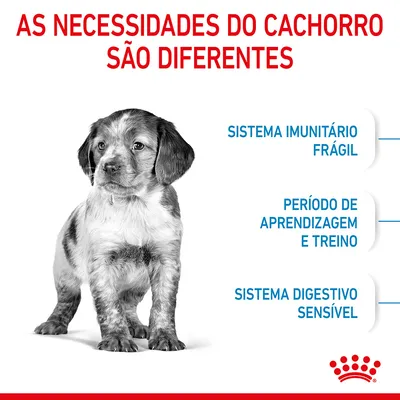 As necessidades do cachorro são diferentes: sistema imunitário frágil, período de aprendizagem e treino, sistema digestivo sensível. Marca Royal Canin visível.