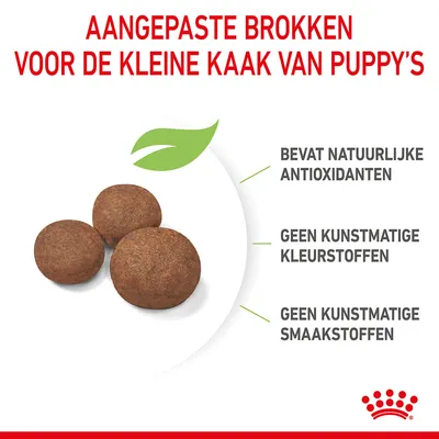 Aangepaste brokken voor de kleine kaak van puppy’s. Bevat natuurlijke antioxidanten, geen kunstmatige kleurstoffen, geen kunstmatige smaakstoffen.