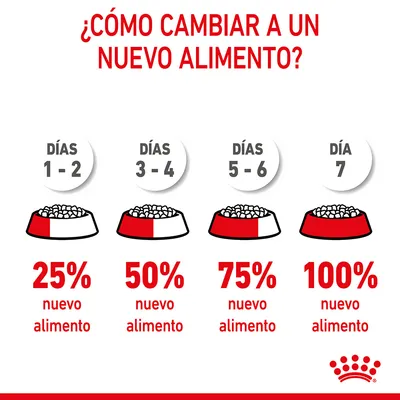 Guía de cambio a nuevo alimento: días 1–2, 25 %; días 3–4, 50 %; días 5–6, 75 %; día 7, 100 % nuevo alimento. Texto y gráficos explicativos.