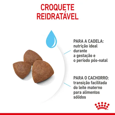 Croquete reidratável. Para a cadela: nutrição ideal durante a gestação e o período pós-natal. Para o cachorro: transição facilitada do leite materno para alimentos sólidos.