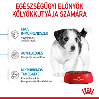 Egészségügyi előnyök kölyökkutyáknak: erős immunrendszer (vitaminok, antioxidánsok), agyfejlődés (omega-3 DHA), mikrobiomos támogatás (prebiotikumok, fehérjék). Royal Canin tálka.