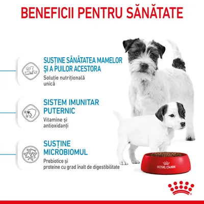 Beneficii pentru sănătate: susține sănătatea mamelor și a puilor acestora, sistem imunitar puternic, susține microbiomul. Royal Canin. Text în limba română.