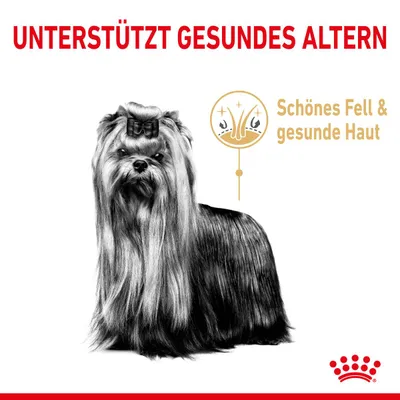 Tukee tervettä ikääntymistä. Kaunis turkki ja terve iho. Kuvassa pitkäkarvainen koira ja Royal Canin -logo.