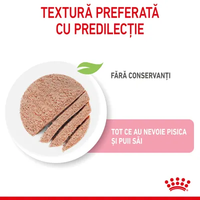 Textură preferată cu predilecție. Fără conservanți. Tot ce au nevoie pisica și puii săi. Imagine cu felii de hrană umedă pe farfurie. Royal Canin.