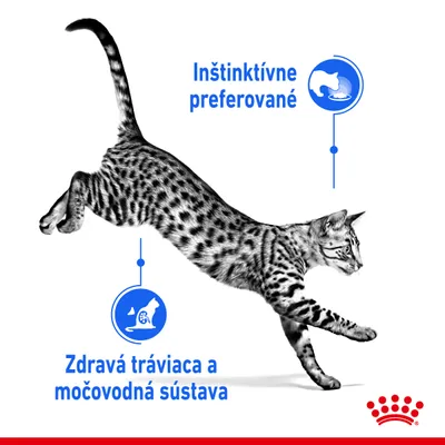 Text: Inštinktívne preferované. Zdravá tráviaca a močovodná sústava. Obrázok mačky s ikonami znázorňujúcimi tieto vlastnosti. Logo Royal Canin v pravom dolnom rohu.